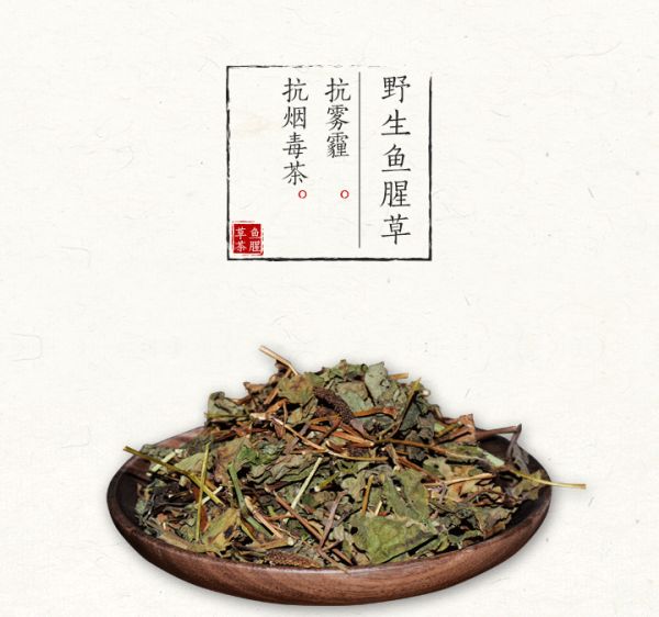多吃鱼腥草有什么好处 四大好处了解一下