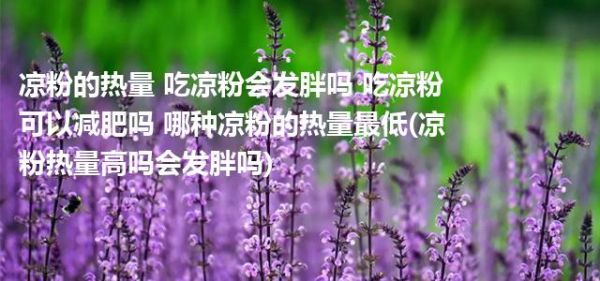 凉粉的热量 吃凉粉会发胖吗 吃凉粉可以减肥吗 哪种凉粉的热量最低(凉粉热量高吗会发胖吗)