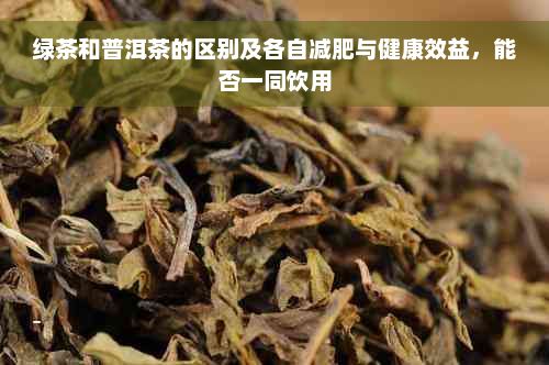 绿茶和普洱茶的区别及各自减肥与健康效益，能否一同饮用