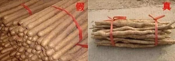 三招鉴别真假垆土铁棍山药