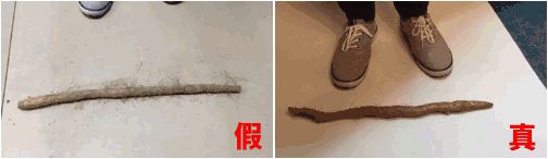 三招鉴别真假垆土铁棍山药