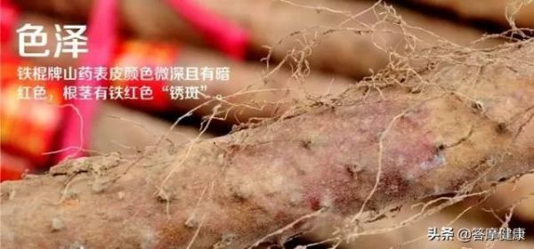 铁棍山药，终极鉴定大法，避免买到山寨货