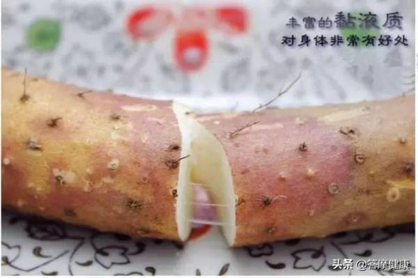 铁棍山药，终极鉴定大法，避免买到山寨货