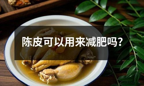 陈皮可以用来减肥吗？