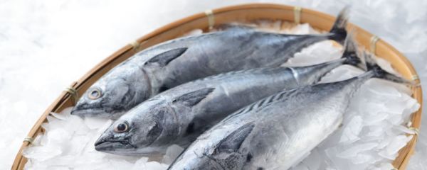 血脂高吃什么降血脂最快