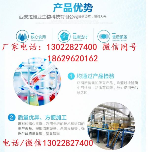 健康糖 生产厂家