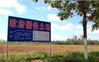 上海收储的这一枪还是打响了，该来的还是来了
