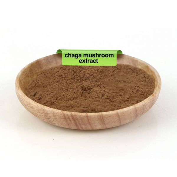 白樺茸提取物