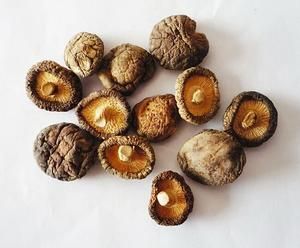 万能菌菇粉的做法 步骤1