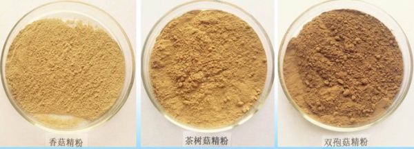 香菇粉 蘑姑粉