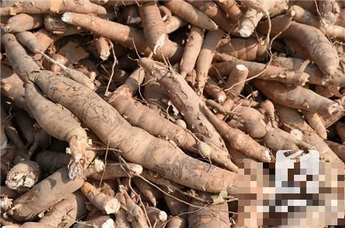 山药糕怎么做