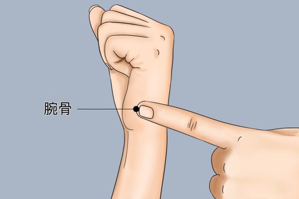 腕骨穴位置图
