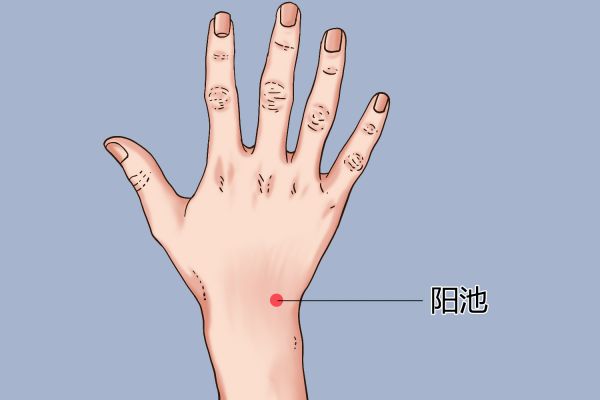 阳池穴位置图