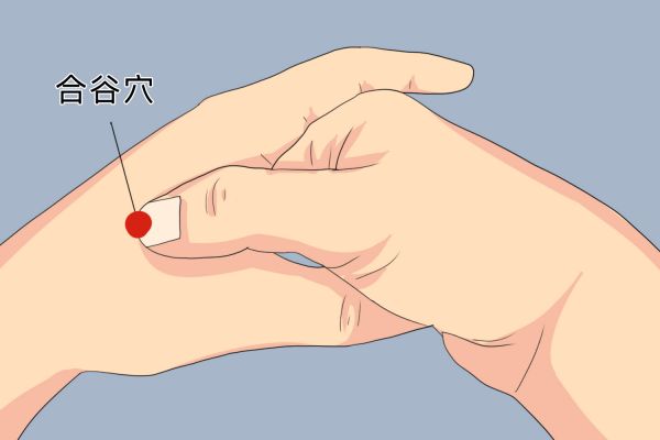合谷穴位置图