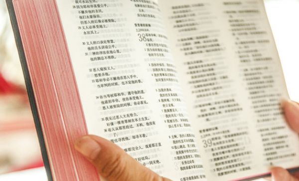 懒人瘦手臂的最快方法