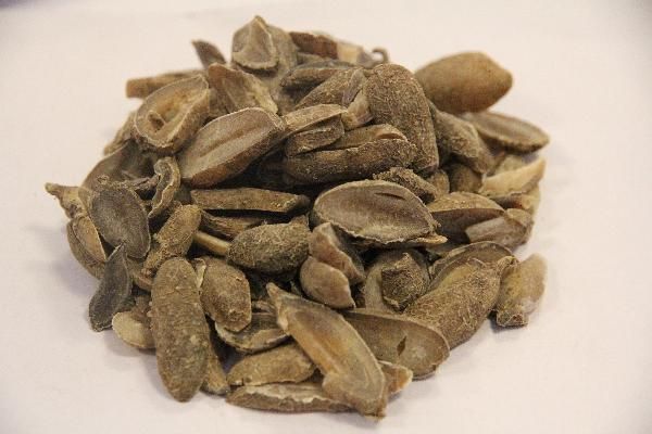 中醫(yī)拔罐放血有什么作用呢 扎針拔罐放血好嗎