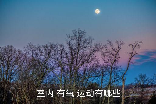  室内 有氧 运动有哪些