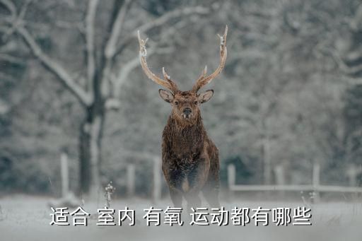适合 室内 有氧 运动都有哪些