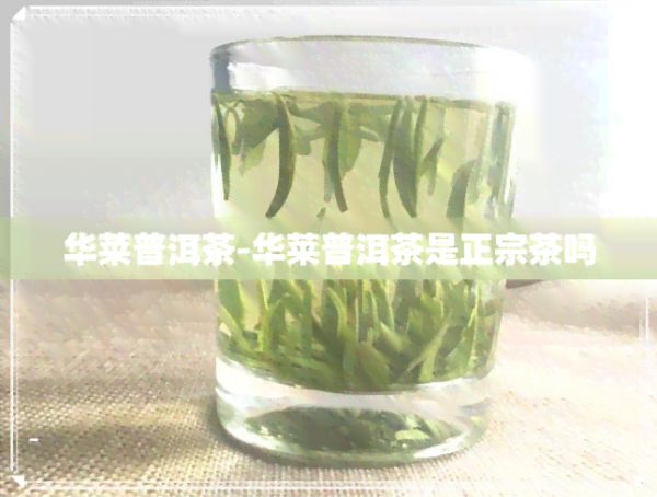 华莱普洱茶-华莱普洱茶是正宗茶吗