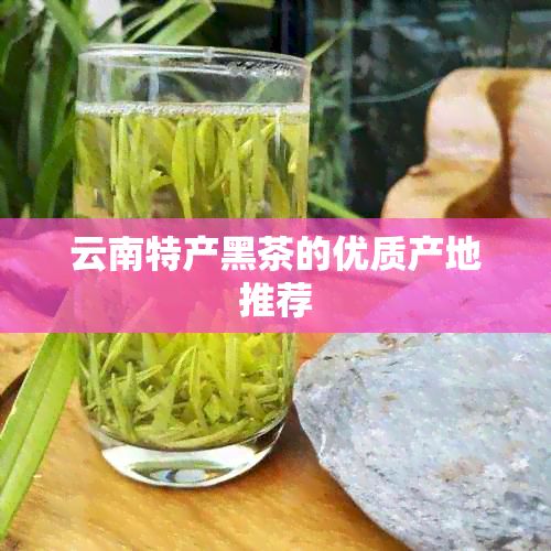 云南特产黑茶的优质产地推荐