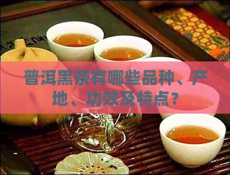 普洱黑茶有哪些品种、产地、功效及特点？
