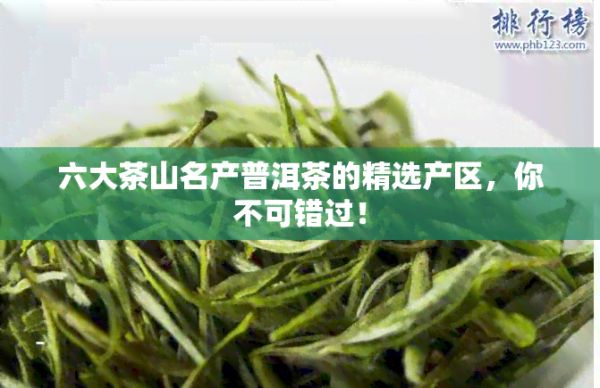 六大茶山名产普洱茶的精选产区，你不可错过！