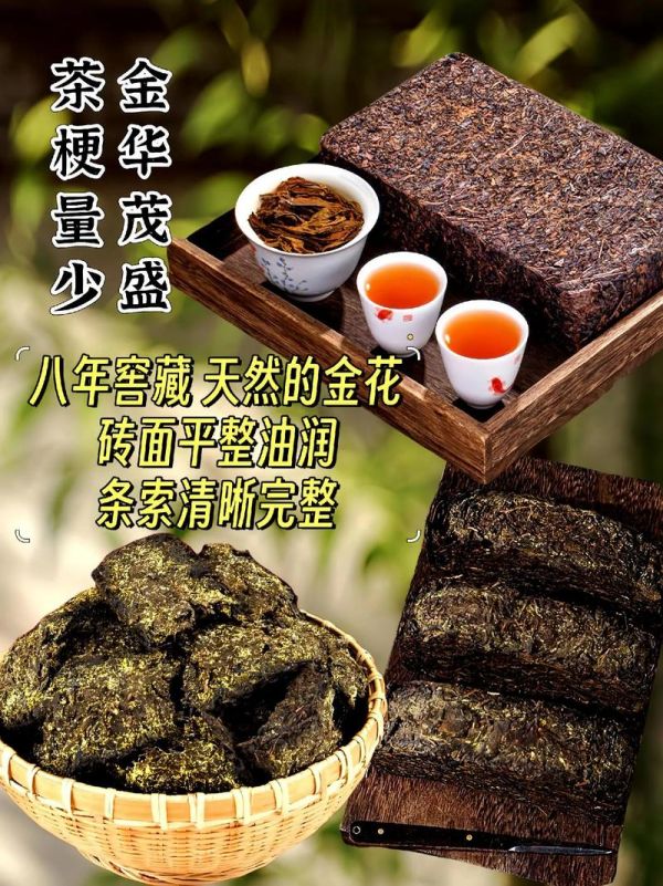 安化黑茶的原产地，湖南的独特魅力