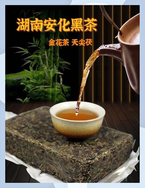 安化黑茶的原产地，湖南的独特魅力