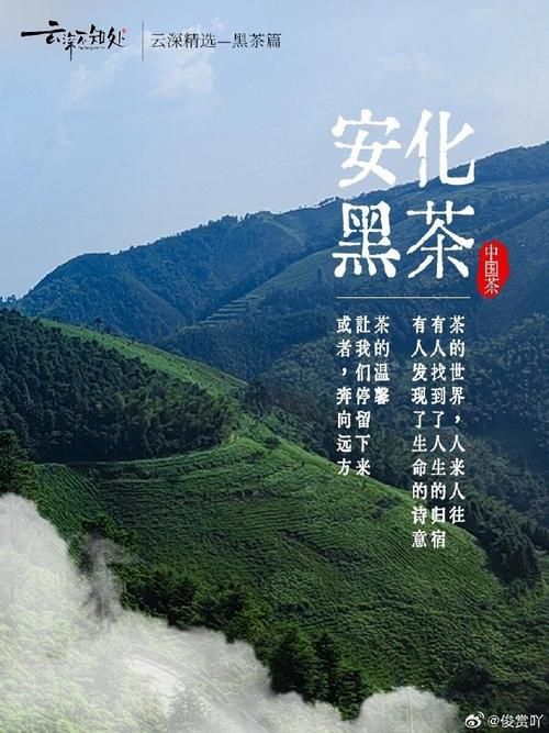 安化黑茶的原产地，湖南的独特魅力