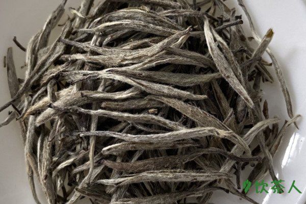 政和白茶如何冲泡，政和白茶冲泡方法(五大常见泡法步骤)