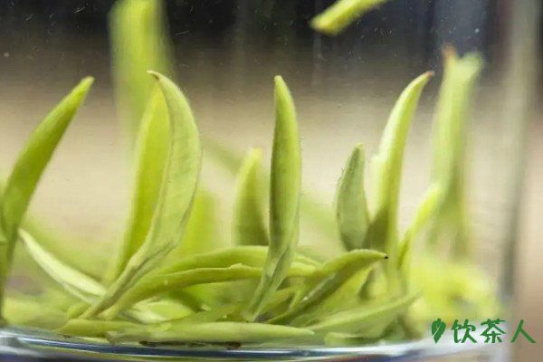 绿茶的冲泡方法，冲泡绿茶的三种方法(手法茶艺展示)