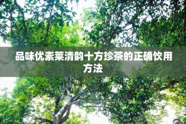 品味优素莱清韵十方珍茶的正确饮用方法