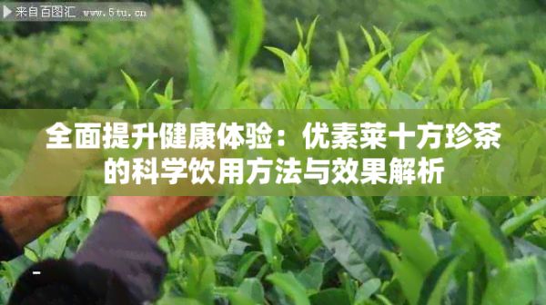 全面提升健康体验：优素莱十方珍茶的科学饮用方法与效果解析