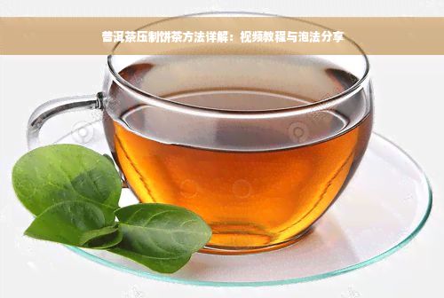 普洱茶压制饼茶方法详解：视频教程与泡法分享