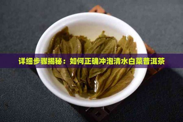 详细步骤揭秘：如何正确冲泡清水白菜普洱茶