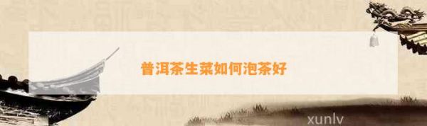 普洱茶生菜如何泡茶好