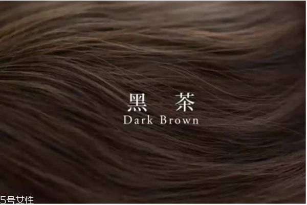 黑茶色适合什么肤色 黑茶色配方