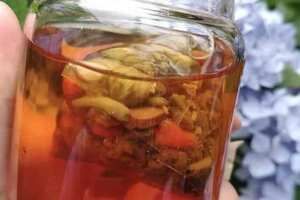 养生茶是泡还是煮_养生壶煮茶比泡茶好吗？