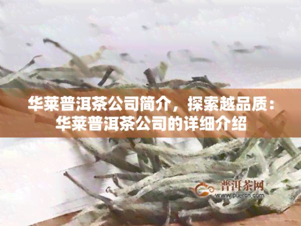 华莱普洱茶公司简介，探索越品质：华莱普洱茶公司的详细介绍