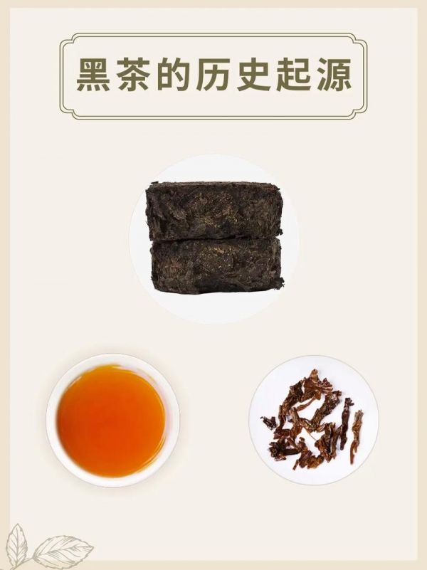 黑茶的歷史，一種古老飲品的演變與傳承