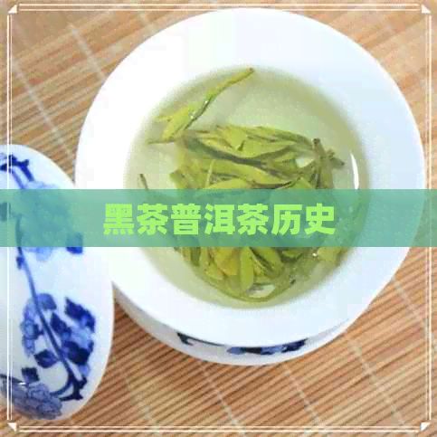 黑茶普洱茶历史