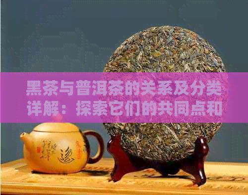 黑茶与普洱茶的关系及分类详解：探索它们的共同点和区别