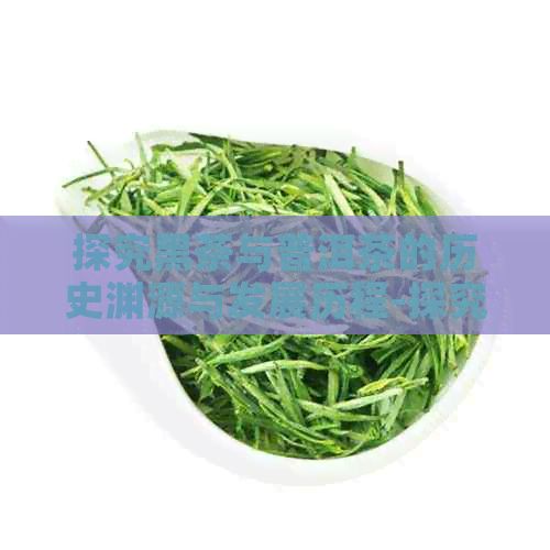探究黑茶与普洱茶的历史渊源与发展历程-探究黑茶与普洱茶的历史渊源与发展历程论文