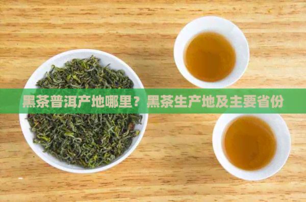 黑茶普洱产地哪里？黑茶生产地及主要省份