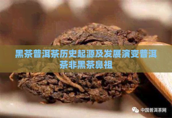 黑茶普洱茶历史起源及发展演变普洱茶非黑茶鼻祖