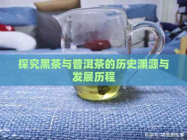 探究黑茶与普洱茶的历史渊源与发展历程