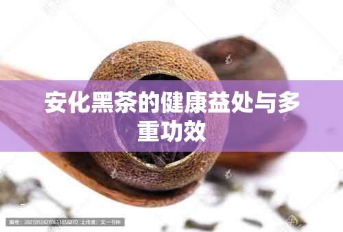 安化黑茶的健康益处与多重功效