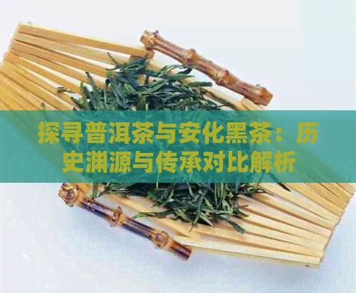 探寻普洱茶与安化黑茶：历史渊源与传承对比解析