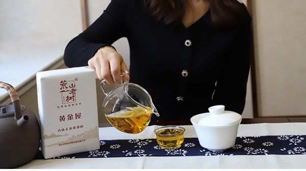 年末聚会品茗更诗意，健康黑茶要选好4