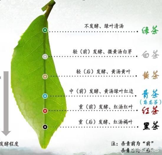 <a href=http://www.pinchajie.cn target=_blank class=infotextkey>黑茶</a>的功效作用_<a href=http://www.pinchajie.cn target=_blank class=infotextkey>黑茶</a>的功效醫(yī)生_功效<a href=http://www.pinchajie.cn target=_blank class=infotextkey>黑茶</a>作用與主治